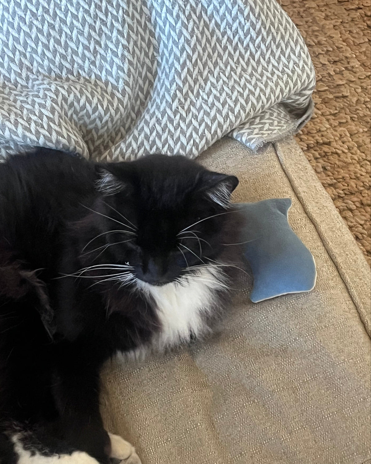 Mini Pillow